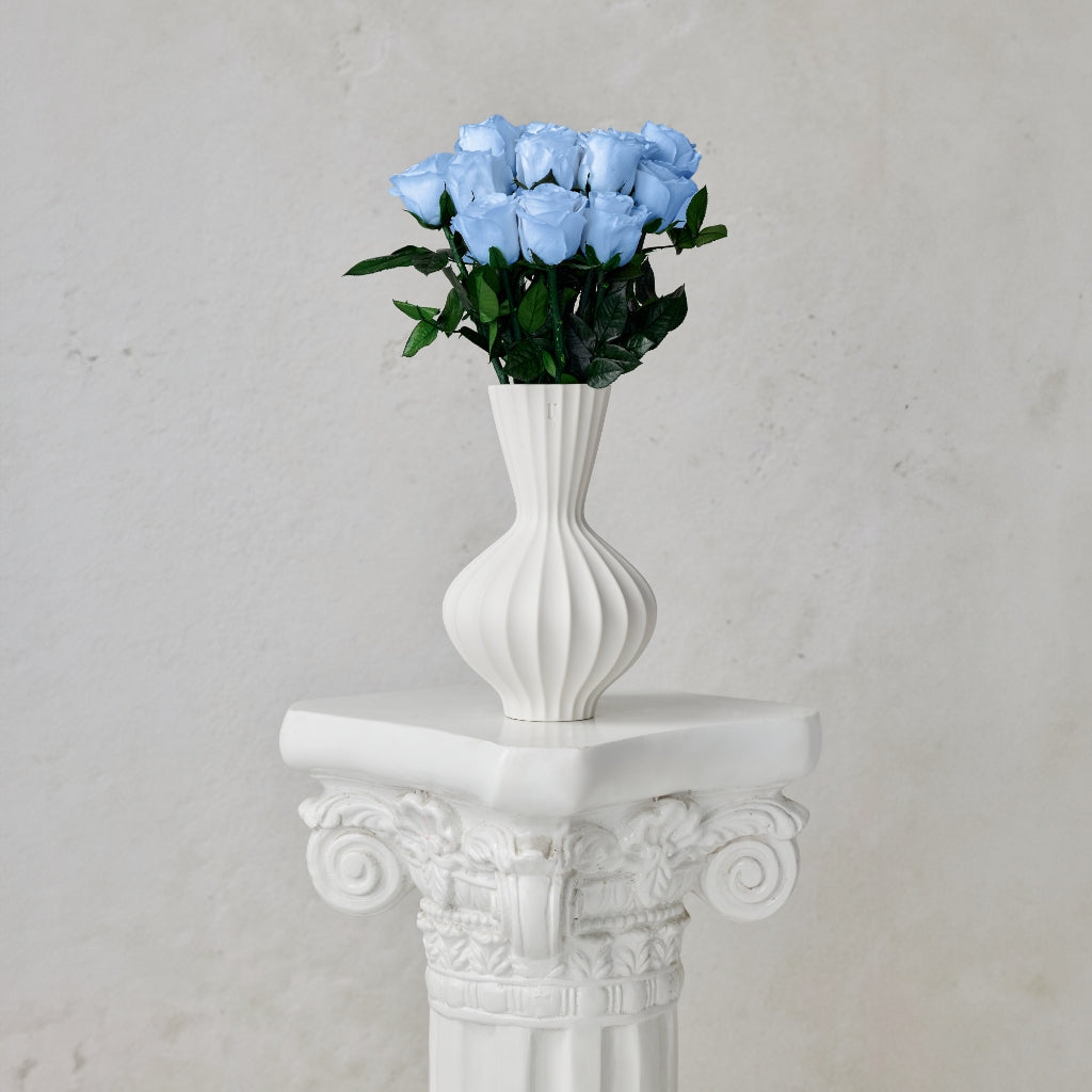 12 Long-Stem Forever Roses in Porcelain Vase | Rococo – ROCOCO ...